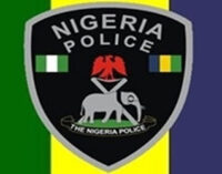 Policeman in Yobe kills self, two colleagues