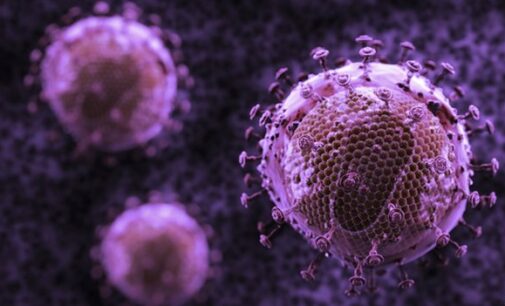 Scientists excited as chemotherapy drug flushes out HIV