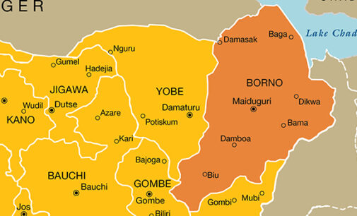 Police in Borno ban hoisting of party flags in public places