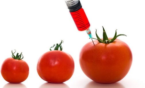 GMO myths and truths