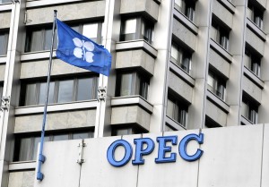 OPEC: Taxation is major driver of rising fuel costs — not crude oil price