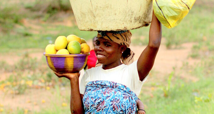 Sidelining women costs Africa $95bn per year, says UNDP
