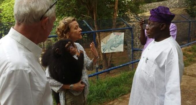 EXTRA: OBJ donates ‘Patience’ to animal centre