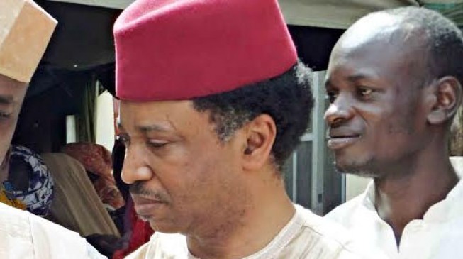 You have no sense of shame, Kaduna APC tells Shehu Sani