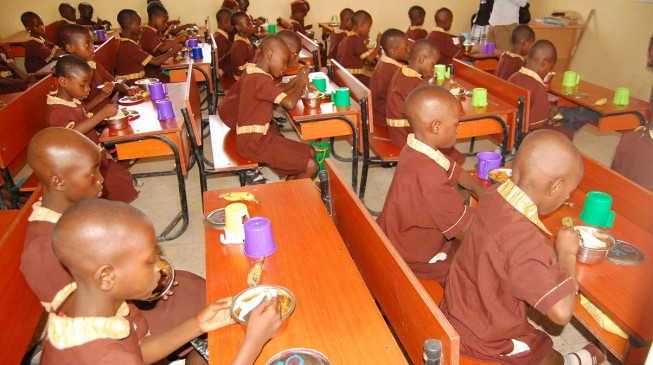 Fayose: States contributing to school feeding scheme? That’s fraud!