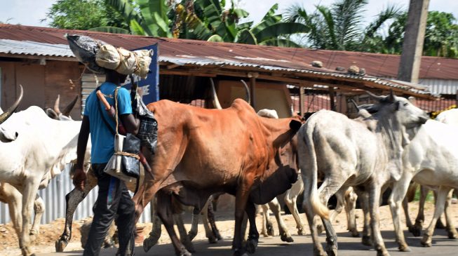 Houses burnt, four killed as ‘herdsmen’ invade Melaye’s constituency