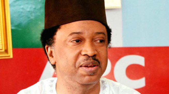 Image result for Shehu Sani