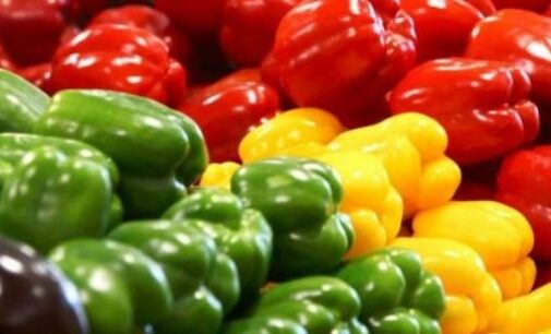 Eat Me: Green, yellow or red, here are seven reasons bell pepper is great for you
