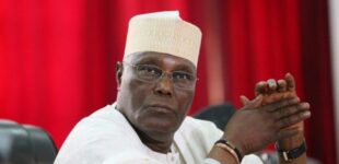 ‘Falling since 1992’ — Tinubu’s aide taunts Atiku over comments on president’s fall