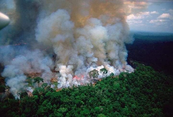 Outrage as fire rips through Brazil's Amazon -- world’s largest rainforest