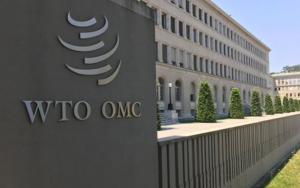 WTO: Reducing trade barriers will help poor countries grow