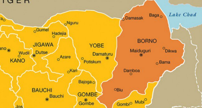 ’60 percent’ of Borno primary school teachers unqualified