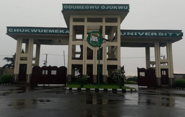 Strike: My life and job under threat, says Ojukwu varsity ASUU chair