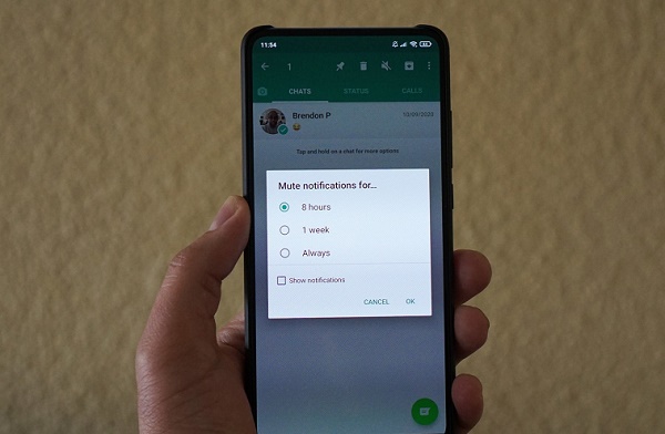 WhatsApp allows users to mute chats forever