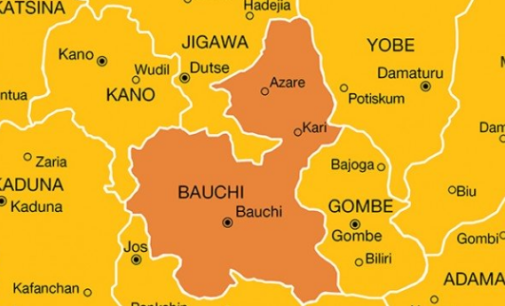 20 killed in cholera outbreak in Bauchi