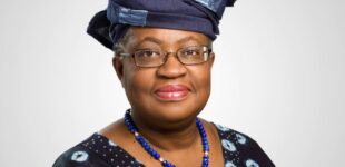Okonjo-Iweala at 70: The technocrat and humane human