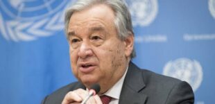 Climate Watch: Land use is responsible for 11% of carbon emissions, says Guterres