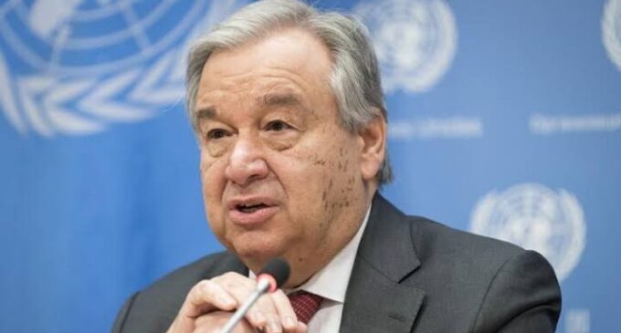 Biodiversity Day: Antonio Guterres calls for urgent measures to halt environmental decline