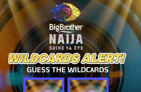 Fake housemates? What to know about BBNaija 'wildcard' twist