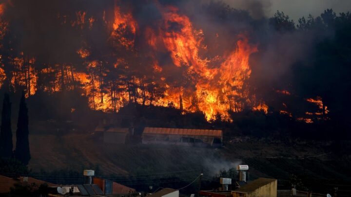 Turkey wildfire