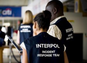 Interpol officers