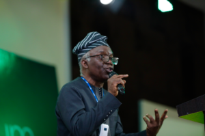 Femi Falana