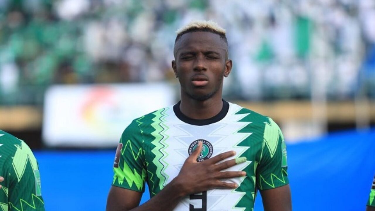 Osimhen Africa's most valuable player -- Transfermarkt - Daily Post Nigeria