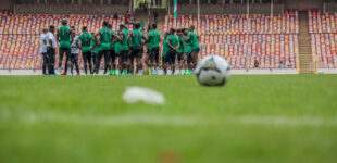 NFF to appoint foreign technical adviser for Super Eagles