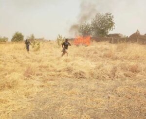 troops destroy camps of insurgents in Borno