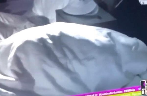 BBNaija: Reactions as Daniella, Khalid 'get intimate' under the duvet