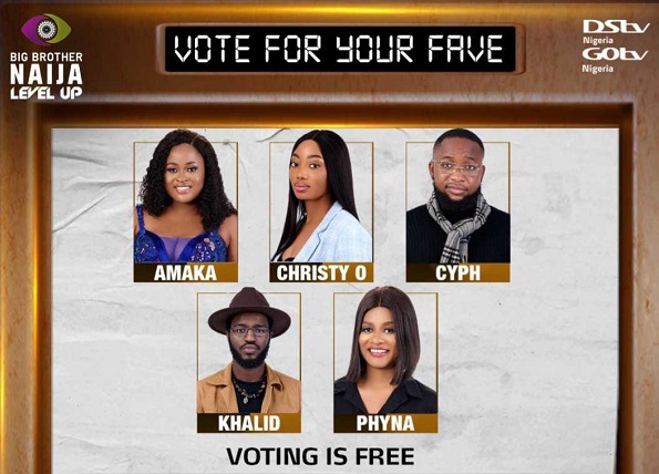 BBNaija: Amaka, Christy O, Cyph... five housemates up for eviction