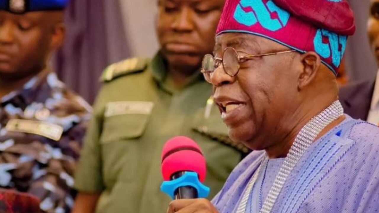 Tinubu: PDP, a party of termites, can never return to power | TheCable