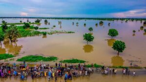 Photos from Jigawa flood