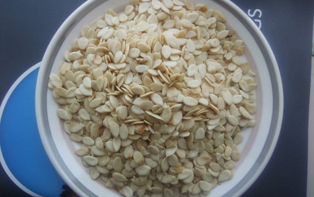 EAT ME: Five health benefits of melon seeds (Egusi)