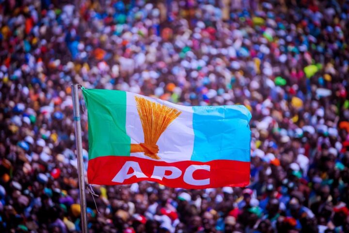 APC Flag in Rally