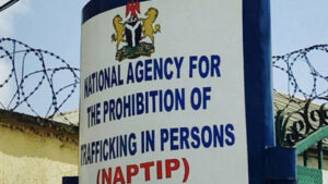 National Agency for the Prohibition of Trafficking in Persons (NAPTIP) signboard