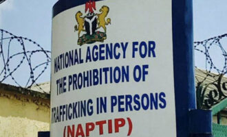 NAPTIP: We’re investigating many orphanages over child trafficking