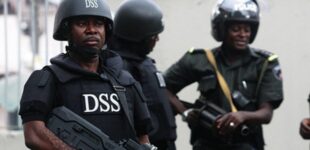 ‘Non-state actors inciting disaffection’ — DSS, police warn against #EndHunger protest