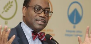 Akinwumi Adesina: Africa loses $15bn annually to climate change