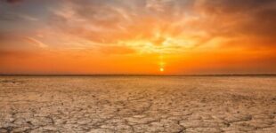 May 2024 was 11th consecutive hottest month on record, says EU climate service