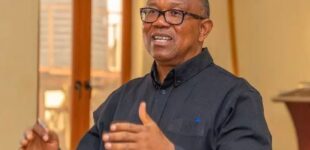 ‘I’ll continue to speak against insecurity’ — Peter Obi condemns killing of police officers in Zamfara