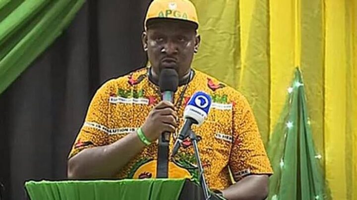 Sylvester Ezeokenwa, APGA national chairman