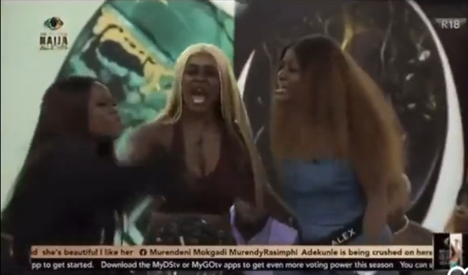 VIDEO: Cee-C, Alex clash on BBNaija All-Stars