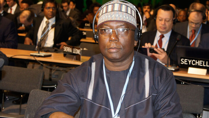 Salisu Dahiru, the director-general of the National Council on Climate Change (NCCC)