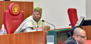 Ireti Kingibe protests ‘exclusion’ as senate passes N98bn FCT supplementary budget
