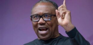 ‘It can happen to anyone’ — Obi reacts to Tinubu’s fall during Democracy Day celebration