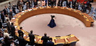 UN security council backs US-proposed Israel-Gaza ceasefire deal