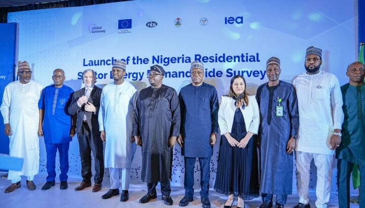 European union and federal government launch energy survey to address power needs of citizens in Abuja