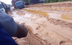 FEC approves N242bn for rehabilitation, construction of 14 roads