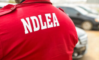NDLEA arrests 110 suspects, recovers 520kg of illicit drugs in Kaduna